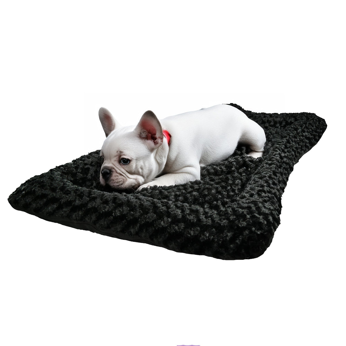 French Bulldog resting on an American Dog Cloud bed