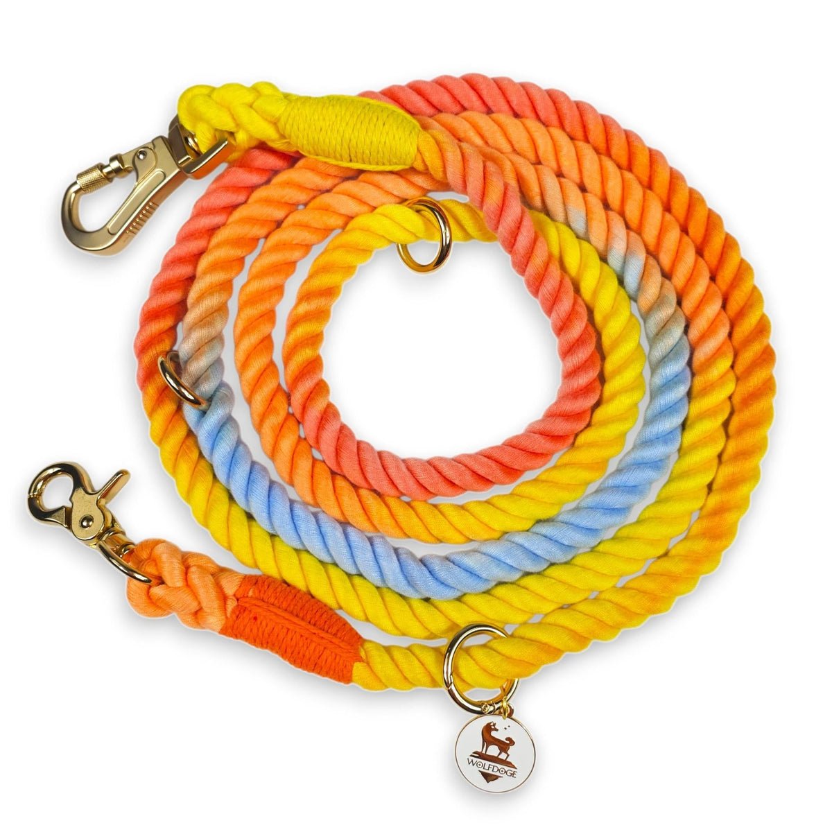 New arrivals at Empowered Pups