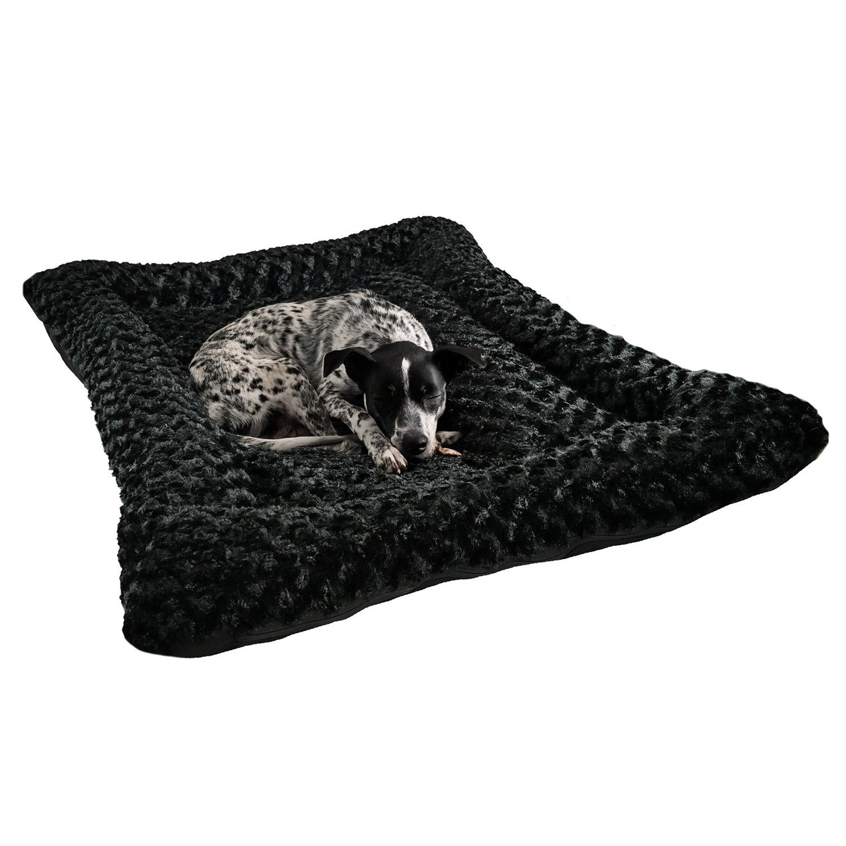 Dog lying on an American Dog Cloud bed