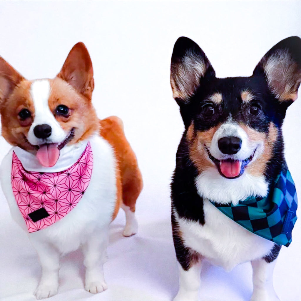 Asanoha Cooling Bandana