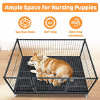 42" Stackable Dog Crate 43T+WHLP02